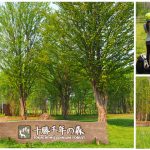 即時熱門文章：北海道旅遊景點》十勝千年之森～夢幻的療癒系森林大草原、來去森林散散步！