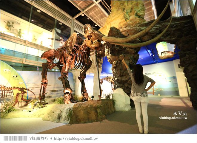 台南南科景點》樹谷生活科學館～超大的劍齒象化石！有趣又能長知識的博物館！ @Via&#039;s旅行札記-旅遊美食部落格