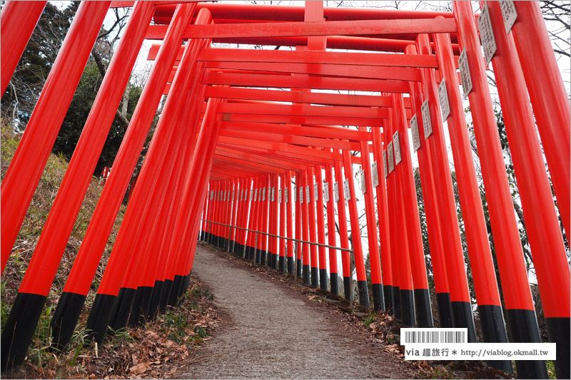 大分旅遊景點》扇森稻荷神社～九州迷你版的紅色千鳥居，竟然在大分鄉間遇見了！ @Via&#039;s旅行札記-旅遊美食部落格