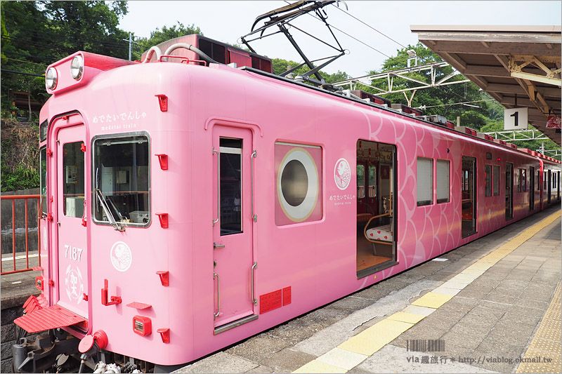 和歌山遊記》加太‧吉慶鯛魚電車(めでたい電車)～全粉紅色的夢幻電車！女孩們快來旅行吧！ @Via&#039;s旅行札記-旅遊美食部落格