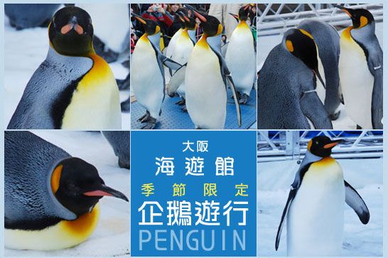 via關西冬遊記》大阪海遊館～冬季限定！無敵可愛企鵝遊行來囉！ @Via&#039;s旅行札記-旅遊美食部落格