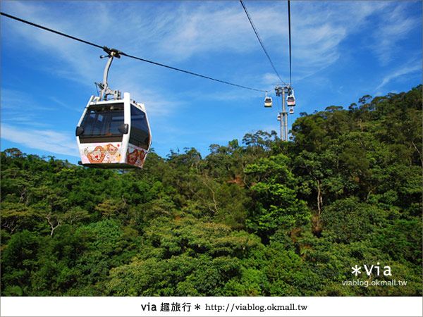 貓空纜車一日遊》台北貓空纜車～從空中看見台北的美！ @Via&#039;s旅行札記-旅遊美食部落格