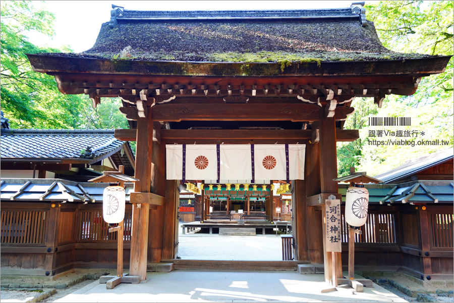 京都河合神社 日本第一美麗神神社 鏡繪馬好有趣 愛美的你一定要來的美容神社