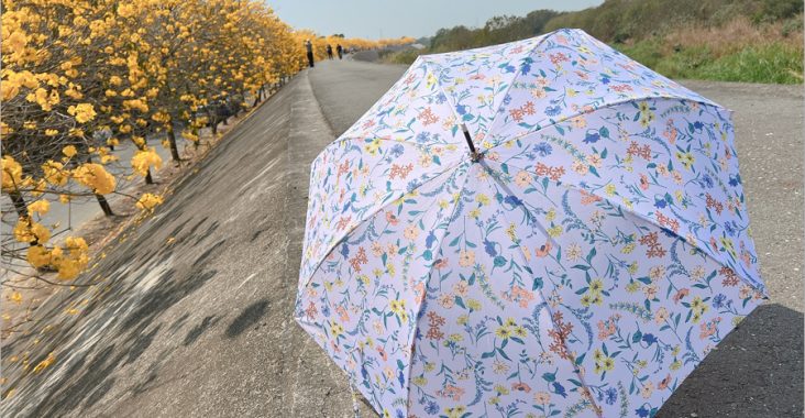 日本連線》雨季必備～日本雨傘推薦：日本絕美專櫃雨傘新品團《限時開團》 @Via&#039;s旅行札記-旅遊美食部落格